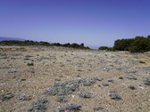 Enlarge photo 212