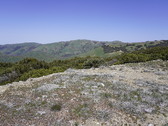Enlarge photo 217