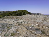 Enlarge photo 218
