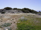 Enlarge photo 220