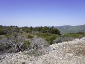 Enlarge photo 225