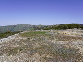 Enlarge photo 226