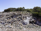 Enlarge photo 228