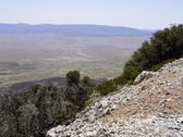 Enlarge photo 235
