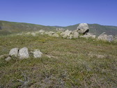 Enlarge photo 237