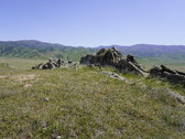 Enlarge photo 239