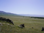 Enlarge photo 240