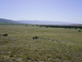 Enlarge photo 247