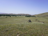 Enlarge photo 248