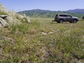 Enlarge photo 249