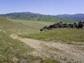 Enlarge photo 253