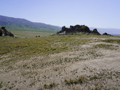 Enlarge photo 254