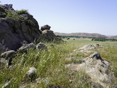 Enlarge photo 257