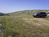 Enlarge photo 259