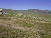 Enlarge photo 258