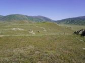 Enlarge photo 260