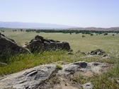Enlarge photo 261