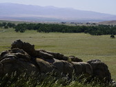 Enlarge photo 262