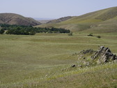 Enlarge photo 263