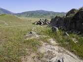 Enlarge photo 264