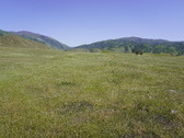 Enlarge photo 266