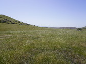 Enlarge photo 267