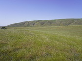Enlarge photo 268