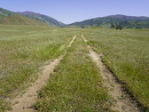Enlarge photo 272