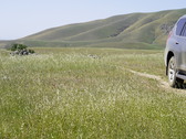 Enlarge photo 274