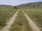Enlarge photo 275