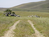 Enlarge photo 276