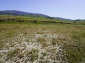 Enlarge photo 279