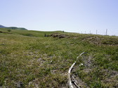 Enlarge photo 280
