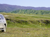 Enlarge photo 284