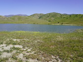 Enlarge photo 286