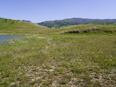 Enlarge photo 287