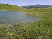 Enlarge photo 290