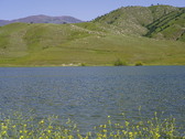 Enlarge photo 292
