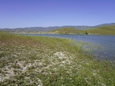 Enlarge photo 293