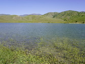 Enlarge photo 294