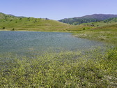 Enlarge photo 295