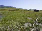 Enlarge photo 296