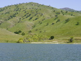 Enlarge photo 298