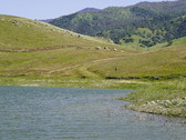 Enlarge photo 299