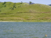 Enlarge photo 300