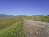 Enlarge photo 301