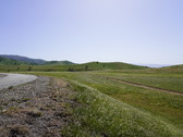 Enlarge photo 304