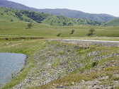 Enlarge photo 308