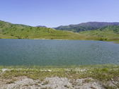 Enlarge photo 309