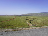 Enlarge photo 312